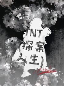 TNT（探案人生）