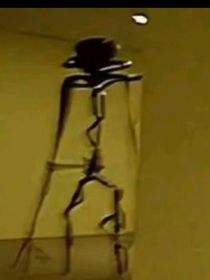 后室！