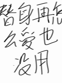替身再怎么爱也没用
