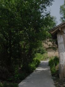 掌心三寸是人间