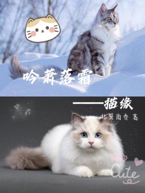 吟萧落霜——猫缘