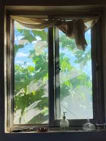 我在逆光中擁有他