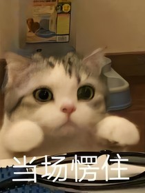 假如哈利是女生？！