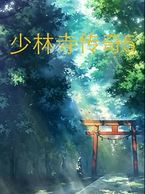 少林寺傳奇5