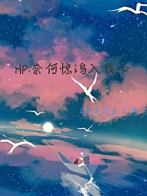 HP：奈何惊鸿入我心