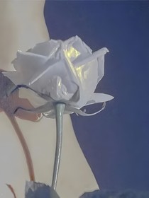 月下拾忆