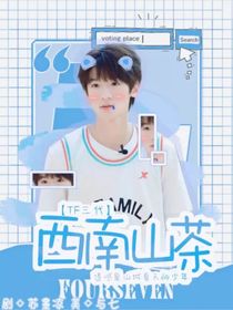 解說：TF三代——西南山茶