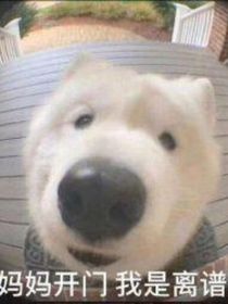 诗经介绍