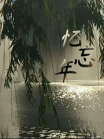 忆忘年