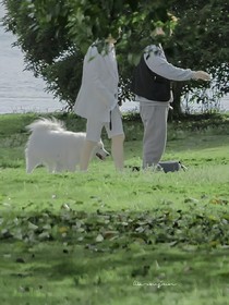 角色覺醒之我的竹馬