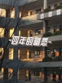 —四年的暗恋—