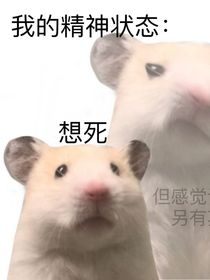 驯养守则