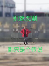 妹花日记