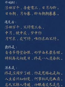 他们的爱没有期限