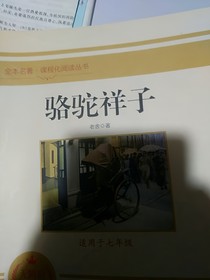 駱駝祥子導(dǎo)讀