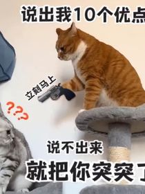 斗三：蘇麗瑪?shù)默旣愄K——d047