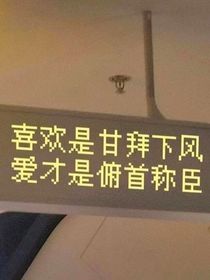 你與夏天皆為浪漫