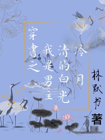 穿书之我是男主的清冷白月光