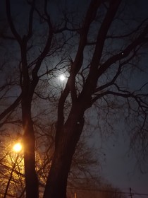 缘和圆
