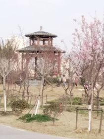 作者摆烂的那些事