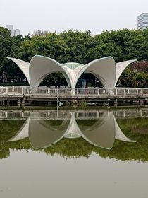 明星的基地
