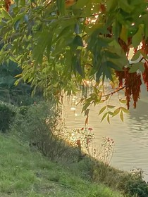 溺死在你的懷抱中