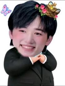 all轩：独养金丝雀
