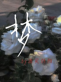 梦子之