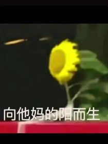 随我回宫
