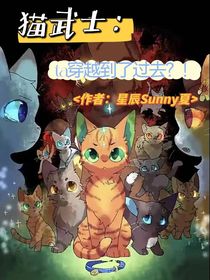 猫武士：ta穿越到了过去