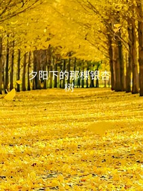 夕阳下的那棵银杏树