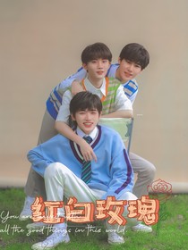 TNT：红白玫瑰