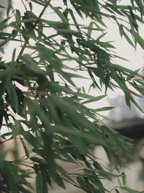 与你札记