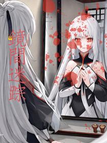 镜间迷踪