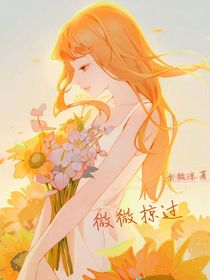 微微掠過