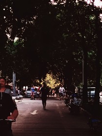 江漾