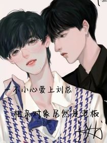 一不小心爱上刘总