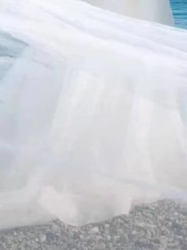 忠世虐戀：源