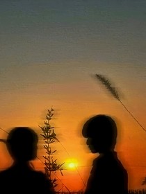 极禹小短文