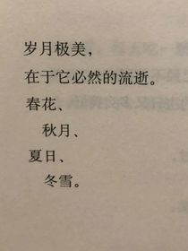 可能是主角