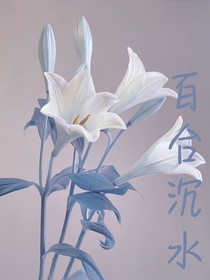 百合沉水