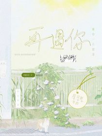 梦回轮情