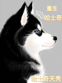 二哈的天秀之路