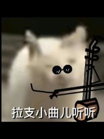 沙漠的林