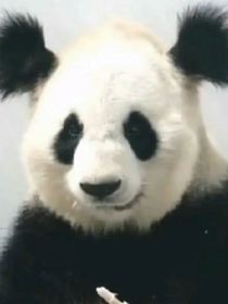 三支一扶题