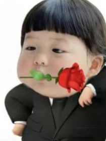 隐婚老公