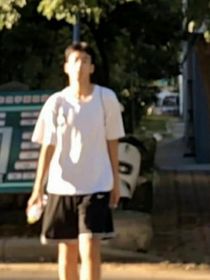 鹿的語錄