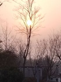 再来一次我也不后悔