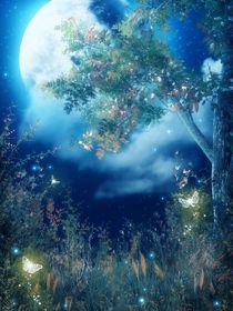 我的幻想和夢