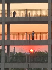 在校园里的年